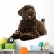 Labradoodle Mixed Breed Dog Wall Decal