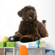 Labradoodle Mixed Breed Dog Wall Decal