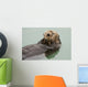 An Adult Sea Otter Floats Wall Mural