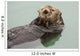 An Adult Sea Otter Floats Wall Mural