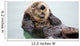 An Adult Sea Otter Floats Wall Mural