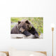 A Female Brown Bear Lays Draped Over A Log Wall Mural