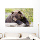 A Female Brown Bear Lays Draped Over A Log Wall Mural