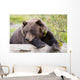 A Female Brown Bear Lays Draped Over A Log Wall Mural