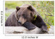 A Female Brown Bear Lays Draped Over A Log Wall Mural