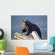 A Captive Brown Bear Stands On A Log Pile Wall Mural