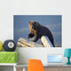 A Captive Brown Bear Stands On A Log Pile Wall Mural
