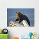 A Captive Brown Bear Stands On A Log Pile Wall Mural