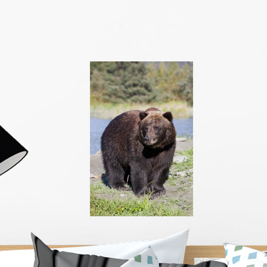 Close View Of A Brown Bear Standing Wall Mural