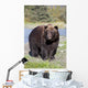 Close View Of A Brown Bear Standing Wall Mural