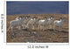 A Band Of Dall Sheep Rams In A High Mountain Meadow Wall Mural