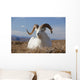 A Dall Sheep Ram Lies On A High Mountain Meadow Wall Mural