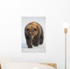 Captive Wall Mural