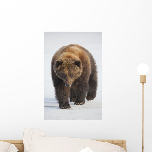 Captive Wall Mural