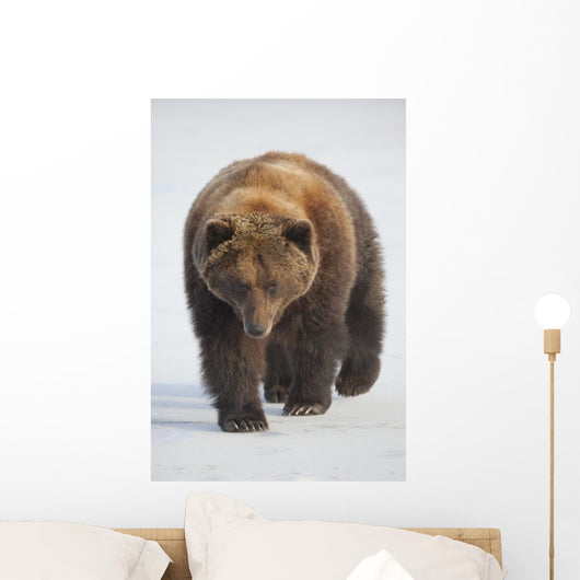 Captive Wall Mural