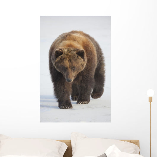 Captive Wall Mural