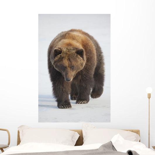Captive Wall Mural