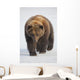 Captive Wall Mural