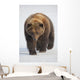 Captive Wall Mural