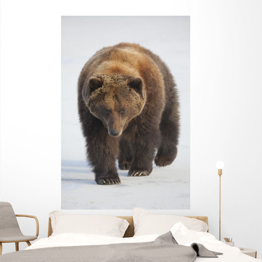 Captive Wall Mural