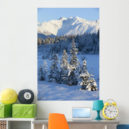 Scenic View Of Chugach Mountains And Snowcovered Landscape Wall Mural