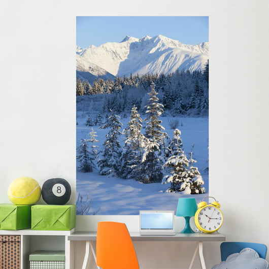 Scenic View Of Chugach Mountains And Snowcovered Landscape Wall Mural