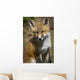 A Red Fox Kit Looks At Camera From Wall Mural