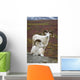 Two Dall Sheep Rams On Hillside Overlooking Tundra Wall Mural