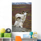 Two Dall Sheep Rams On Hillside Overlooking Tundra Wall Mural