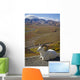 A Dall Ram Lies Wall Mural