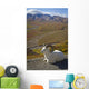 A Dall Ram Lies Wall Mural