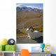 A Dall Ram Lies Wall Mural