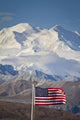 An American Flag Flys Wall Mural
