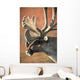 Profile View Of A Male Caribou With Large Antler Rack Wall Mural