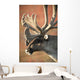 Profile View Of A Male Caribou With Large Antler Rack Wall Mural
