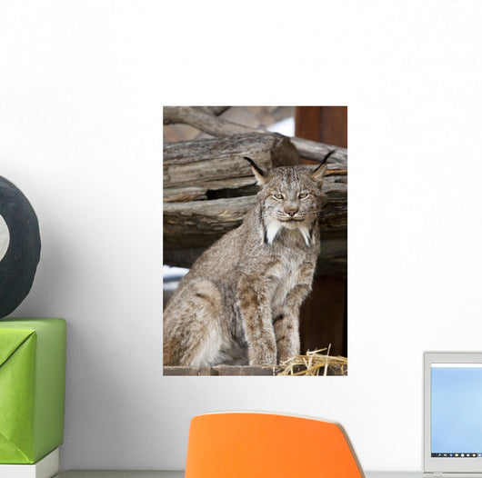 Captive Wall Mural