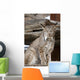 Captive Wall Mural