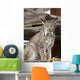 Captive Wall Mural