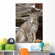 Captive Wall Mural