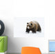 Captive Wall Mural
