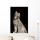 Captive Wall Mural