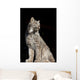 Captive Wall Mural