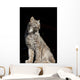 Captive Wall Mural