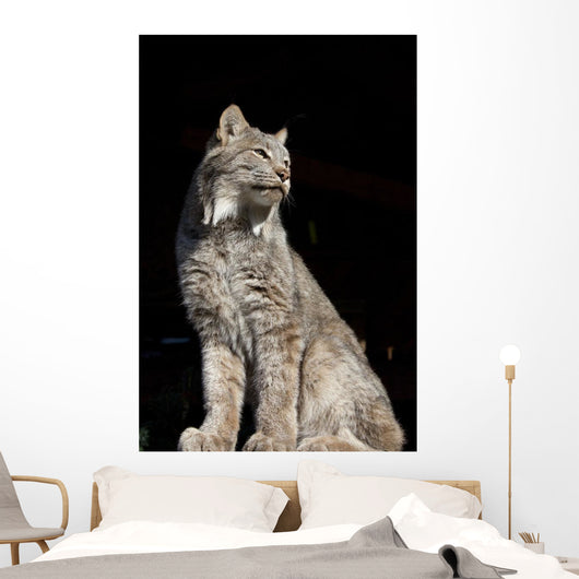 Captive Wall Mural