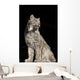 Captive Wall Mural