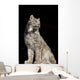 Captive Wall Mural