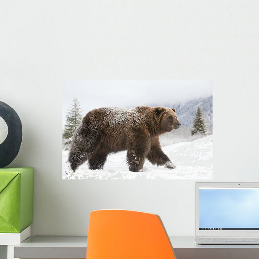 Captive Wall Mural