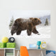 Captive Wall Mural