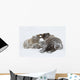 Captive Wall Mural