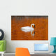 Trumpeter Swan In The Sunset Lit Water Of Potter Marsh Wall Mural